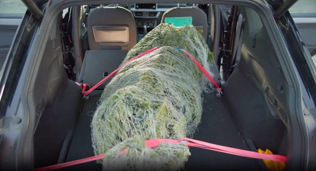 Weihnachtsbaumtransport im Innenraum