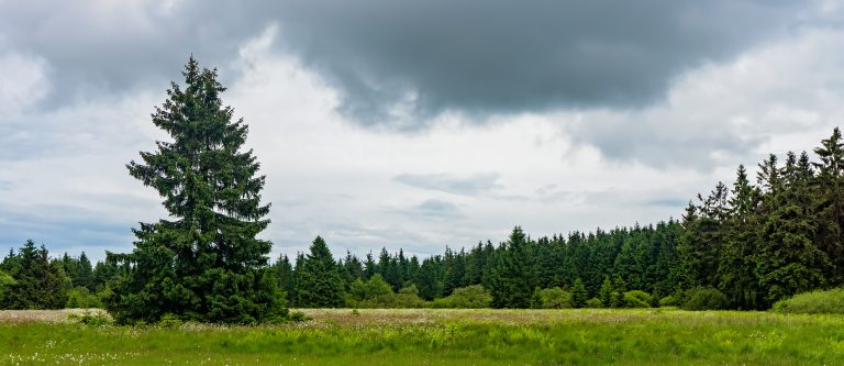 Wetter 29.12.23: Baden-Württemberg auf der Achterbahn der Wetterlagen