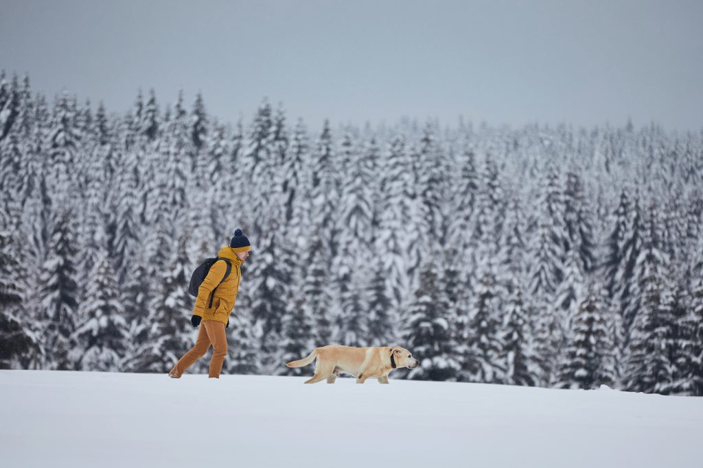 Wetterupdate 19.12.23: Sonne gefolgt von Sturm und Schnee im Ländle