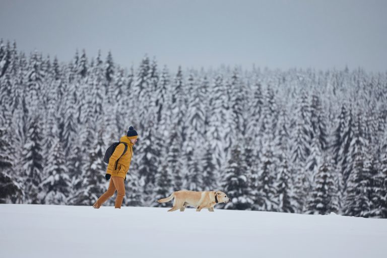 Wetterupdate 19.12.23: Sonne gefolgt von Sturm und Schnee im Ländle