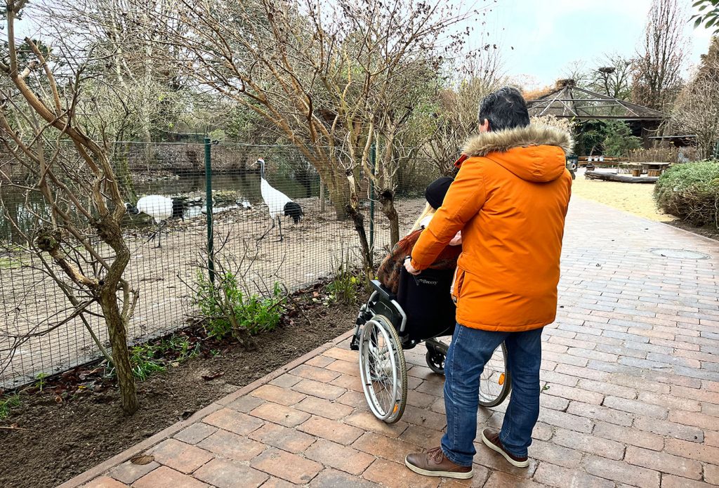Heidelberg macht Weg frei! Barrierefreiheit im Heidelberger Zoo
