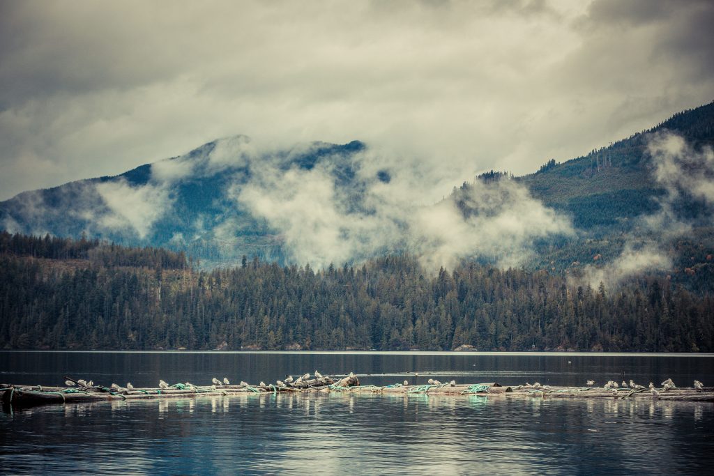 "Alone - Überlebe die Wildnis" findet an der Westküste von Vancouver Island, British Columbia in Kanada statt. 
Foto: RTL / Frank Fastner