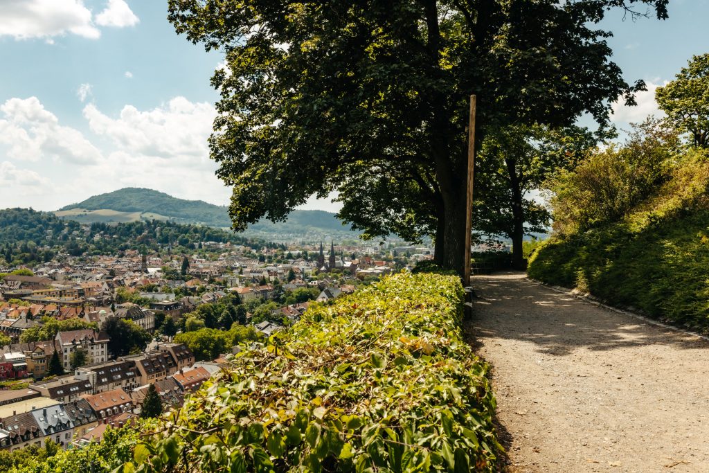 Wanderlust im Schwarzwald: Auf den Spuren von Silberminen und Hexentanzplätzen – Neue Wanderwege im Schwarzwald Freiburg ErlebnisSchlossbergRaphaelPietsch FWTM