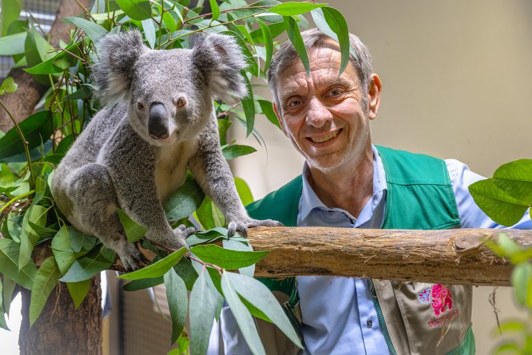 Wilhelma’s Weg in die Zukunft: Ein Zoo im Wandel