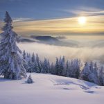 Wetterupdate 16.01.24: Von Sonnenschein zu Sturmböen im Ländle