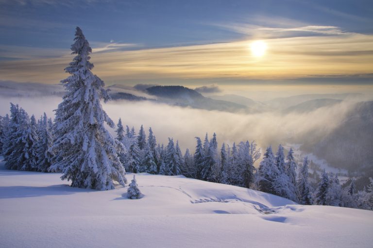 Wetterupdate 16.01.24: Von Sonnenschein zu Sturmböen im Ländle
