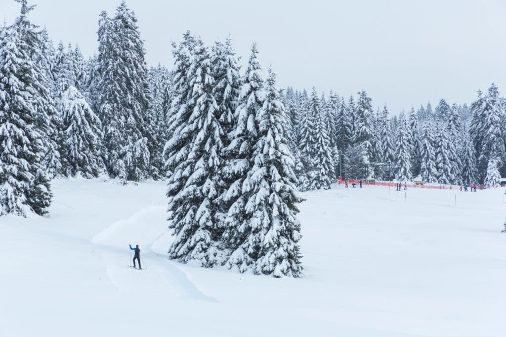 Wetterupdate 09.01.24: Baden-Württemberg im Griff von Väterchen Frost