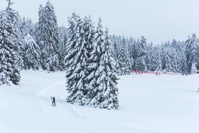 Wetterupdate 09.01.24: Baden-Württemberg im Griff von Väterchen Frost