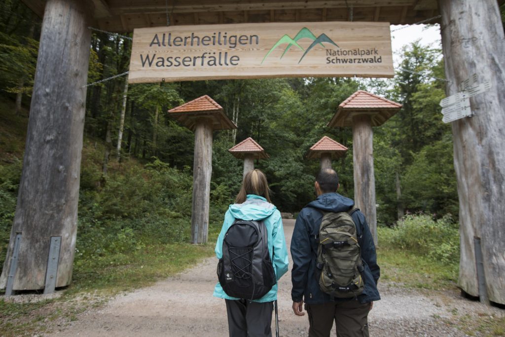 Eine Spur wilder: Nationalpark Schwarzwald feiert 10 Jahre Naturerlebnis und Artenschutz csm Allerheiligen UlrikeKlumpp 7f92257db0