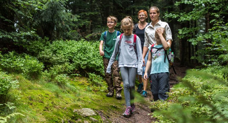 Eine Spur wilder: Nationalpark Schwarzwald feiert 10 Jahre Naturerlebnis und Artenschutz