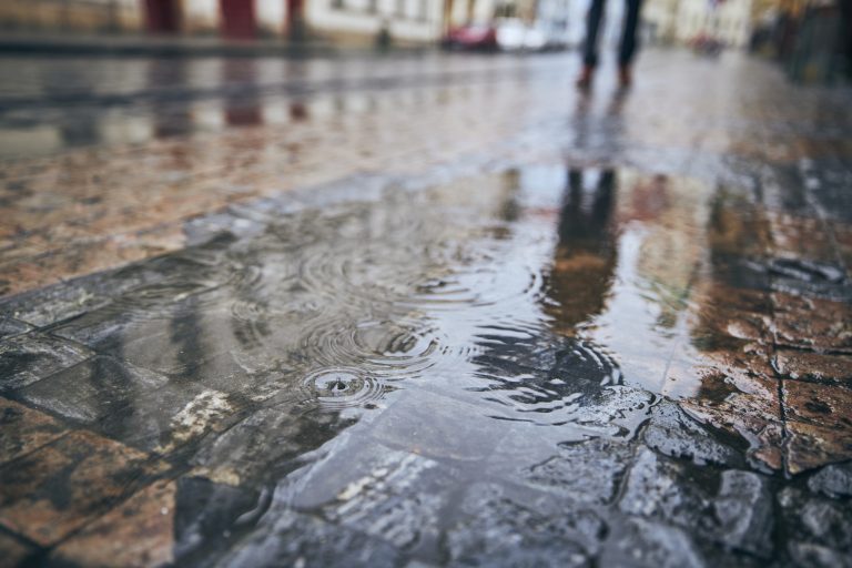 Wetterupdate 25.01.24: weiter wechselhaftes Wetter in Baden-Württemberg