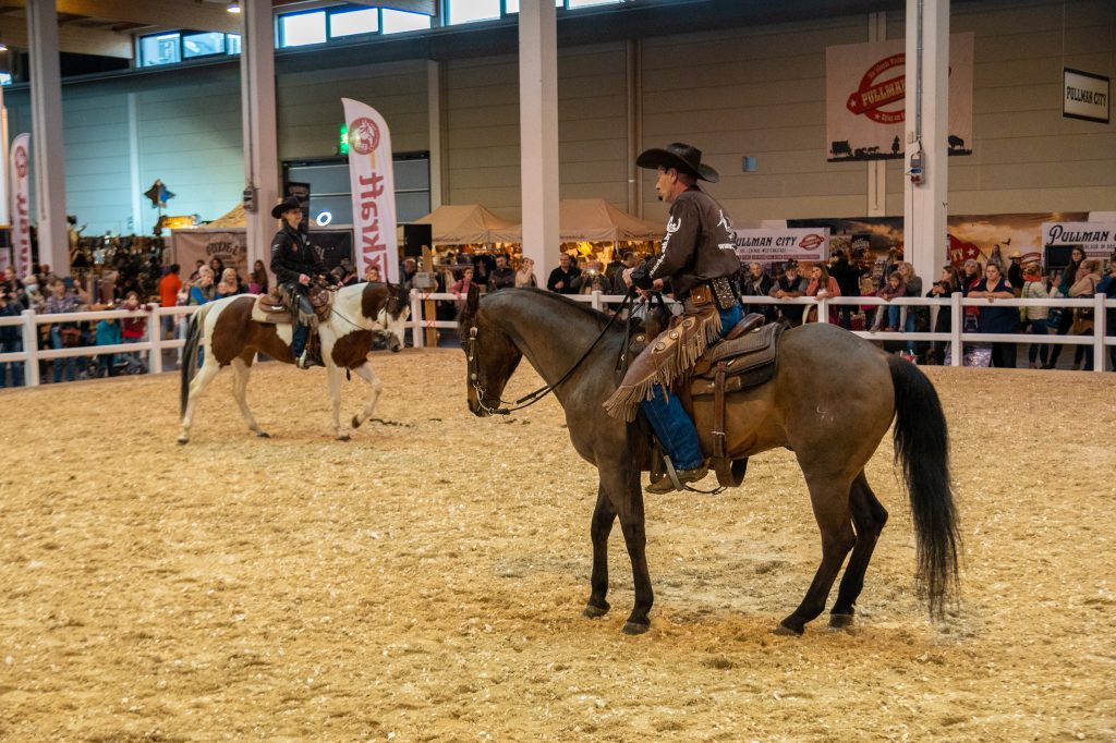 Pferd Bodensee startet mit mehr als 270 PS