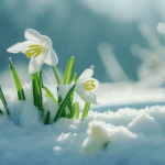 Wetterupdate 24.02.24: Aussichten für Baden-Württemberg – Frühlingshafte Brise mit einem Hauch von Winter