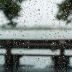 Wetterupdate 07.02.24: Stürmisches Wetter zieht in Baden-Württemberg auf