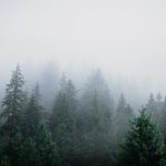 Wetterupdate 10.02.24: Milde Brise und Regenschauer in Baden-Württemberg