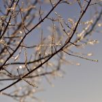 Wetterupdate 25.02.24: Frühlingsgefühle ade! Sonne, Schauer und Glättegefahr in Baden-Württemberg Wetterupdate 25.02.24: Frühlingsgefühle ade! Sonne, Schauer und Glättegefahr in Baden-Württemberg