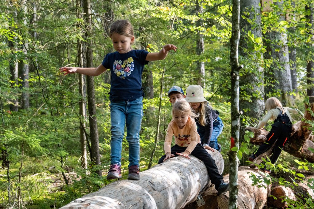 Auf Entdeckertour im Südschwarzwald: Spielerisch die Welt der Waldtiere auf dem "Dachsweg" 
