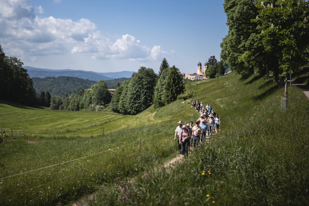 Wandern im Hochschwarzwald: Erneute Auszeichnug als Premium-Wanderregion! 2 Wandern im Hochschwarzwald: Erneute Auszeichnug als Premium-Wanderregion! Gefuehrte Wanderung bei St. Maergen ©Hochschwarzwald Tourismus GmbH
