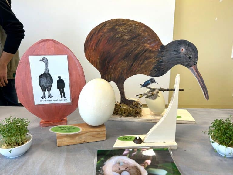 Ei, Ei, Ei! Ostern in der Wilhelma: Eine faszinierende Reise durch die Welt der Vogeleier!