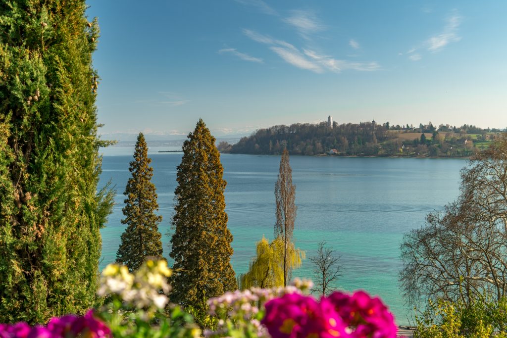 Ostern in Konstanz 2024: Frühlingsgefühle am Bodensee Konstanz Bodensee SeeGang Etappe1 Mainau Bluete 03 Copyright MTK Thorsten Guenthert