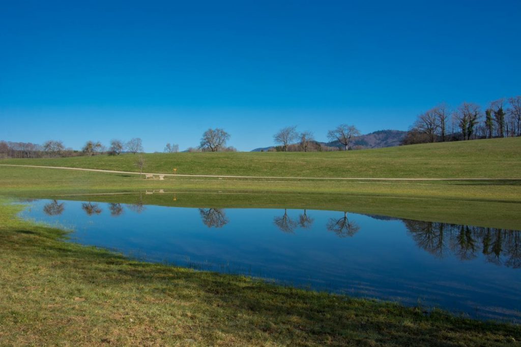 Wasserwelten im Süden: 8 überraschende Wassergeschichten aus Baden-Württemberg 4 Eichener See Schopfheim