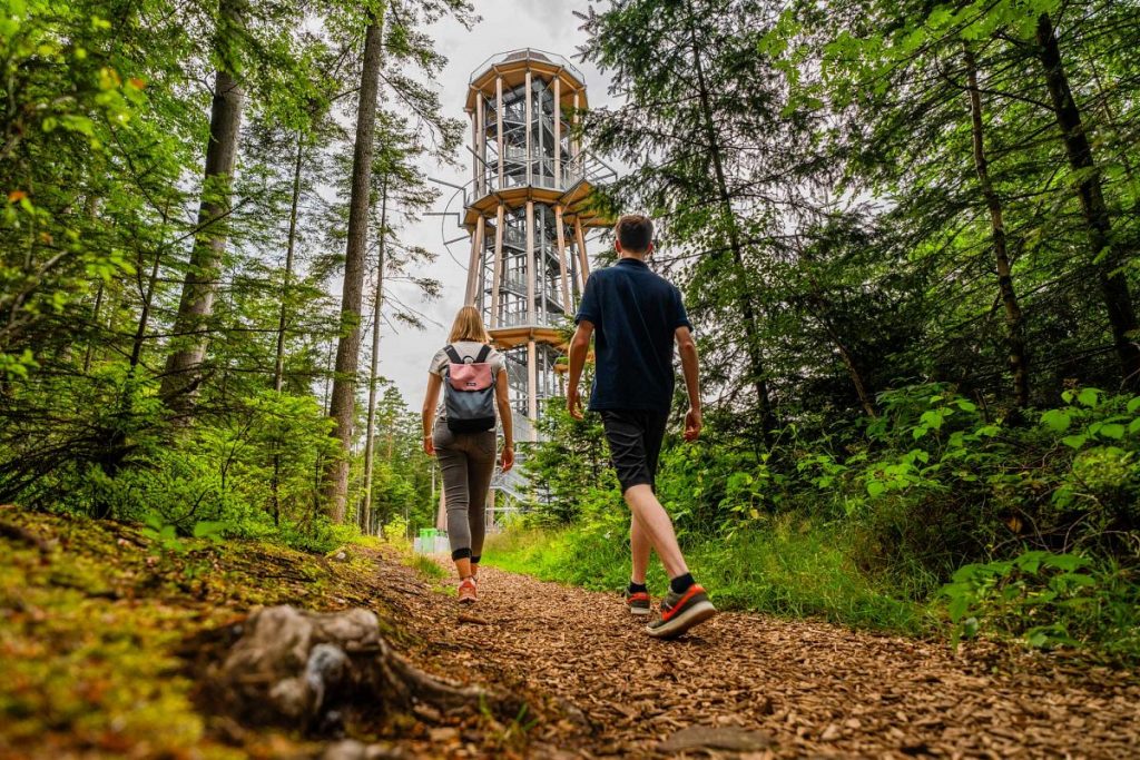 Zwei Schwarzwälder im Rennen um "Deutschlands schönsten Wanderweg 2024": Jetzt abstimmen! Wanderwahl zollernblick