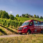 Frühlingserwachen in Stuttgart: Grüne Tour und Weintour starten in die neue Saison Frühlingserwachen in Stuttgart: Grüne Tour und Weintour starten in die neue Saison