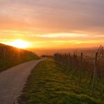 Wetterupdate 02.03.24: Sonne, Wolken und ein Hauch von Frühling in Baden-Württemberg Wetterupdate 02.03.24: Sonne, Wolken und ein Hauch von Frühling in Baden-Württemberg