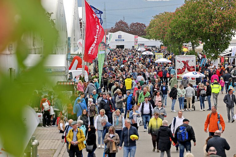 Vorverkauf gestartet: Maimarkt Mannheim –Neuheiten, Klassiker und vieles mehr