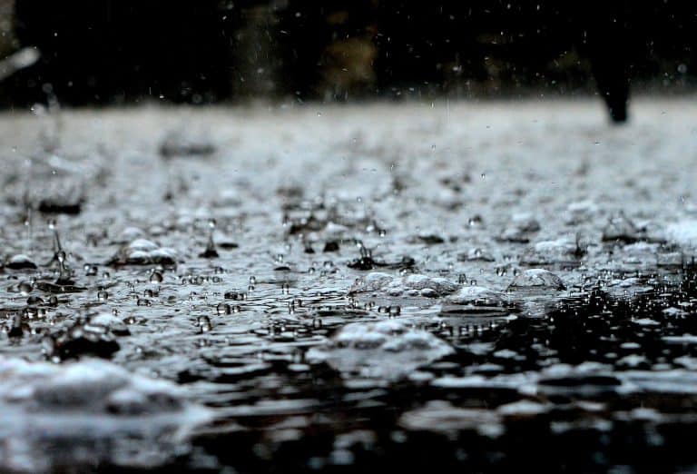 Wetterupdate 16.03.2024: Von stürmischen Böen bis Sonnenschein in Baden-Württemberg
