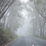 Dichter Nebel, stürmische Böen und gefährliche Glätte: Baden-Württemberg vor einem trüben Dezemberwochenende