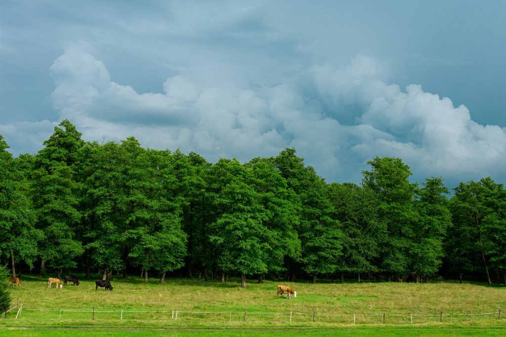 Wetterupdate 21.03.24: Sturm und Graupelschauer am Wochenende im Ländle