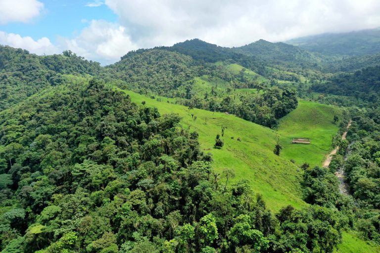 Die Grüne Lunge Ecuadors: Wilhelma investiert erneut in den Schutz von Regenwäldern