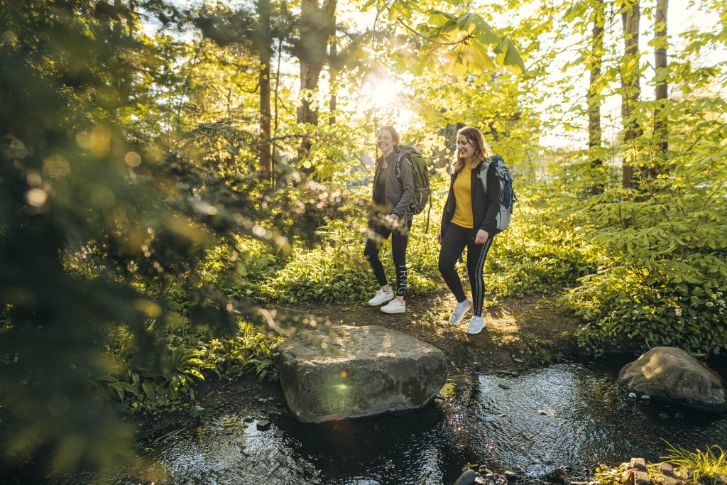 wanderparadies-westlicher-bodensee-unvergessliche-naturerlebnisse-auf