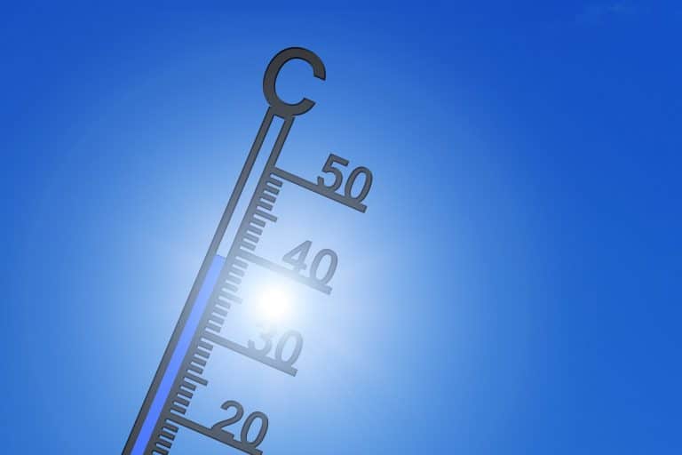 Wetter 17.07.24: Baden-Württemberg erwartet eine Hitzewelle: Heute sonnig, bis 35 Grad am Wochenende