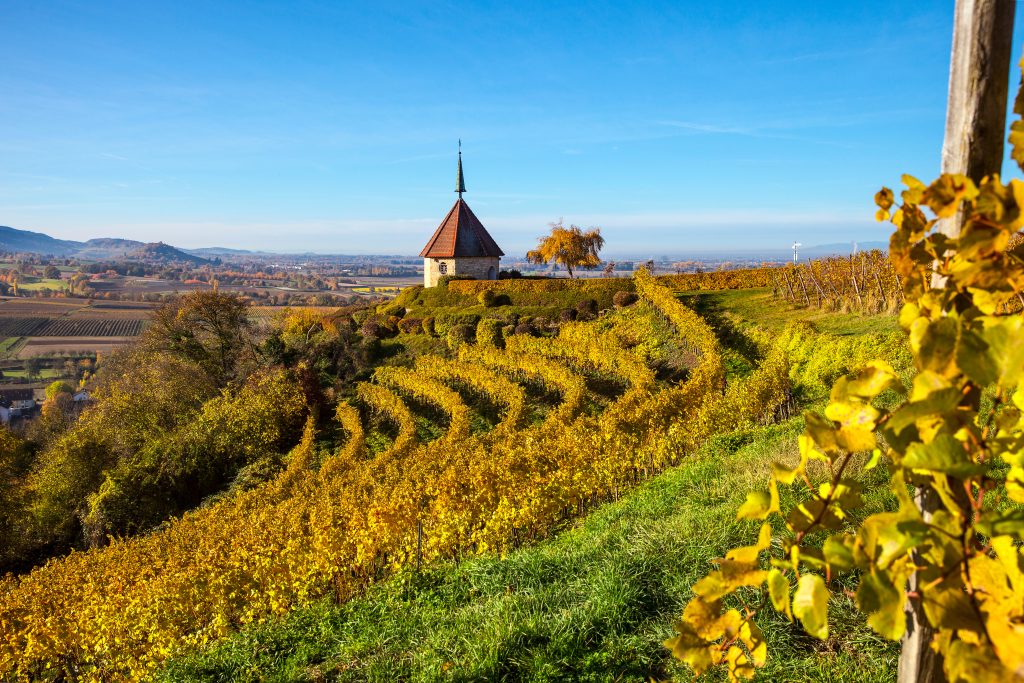 Ölberg-Kapelle oberhalb Ehrenstettens
