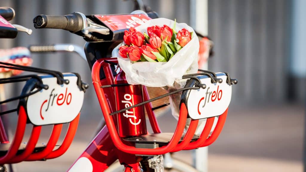 Fünf Jahre Frelo: Erfolgsgeschichte des Freiburger Fahrradvermietsystems