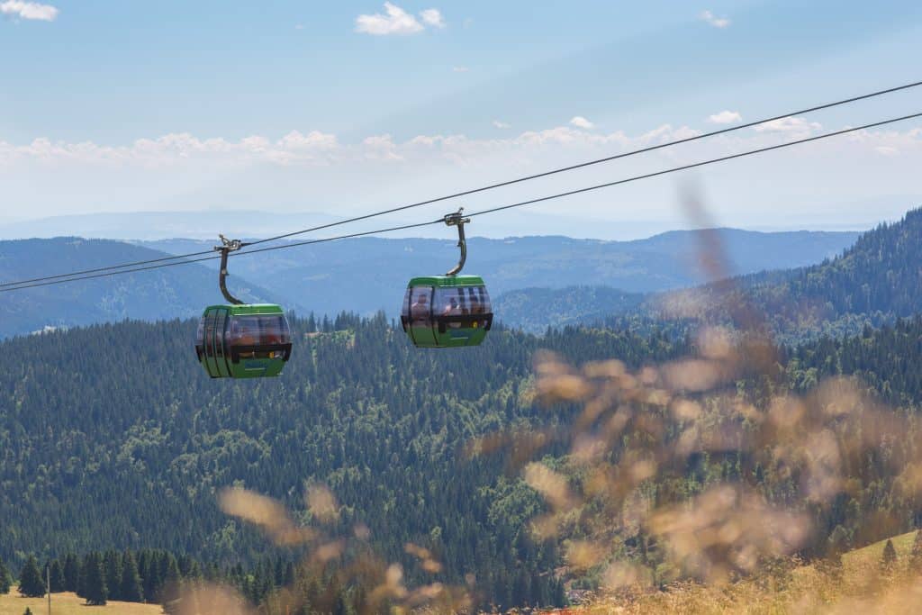 Hochschwarzwald erleben: Neue Angebote und freie Fahrt mit der WälderCard und Hochschwarzwald Card