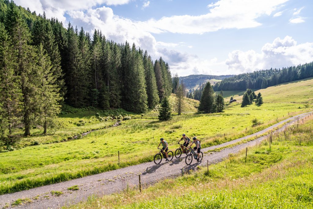 Hochschwarzwald erleben: Neue Angebote und freie Fahrt mit der WälderCard und Hochschwarzwald Card Moutaninbiken im Hochschwarzwald Hochschwarzwald To 3