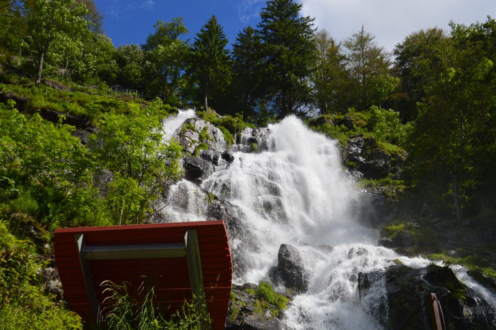 Der mächtige Todtnauer Wasserfall stürzt aus 97 Metern Höhe hinab – ein beeindruckendes Naturspektakel im Schwarzwald, das Besucher aus der ganzen Welt anzieht.