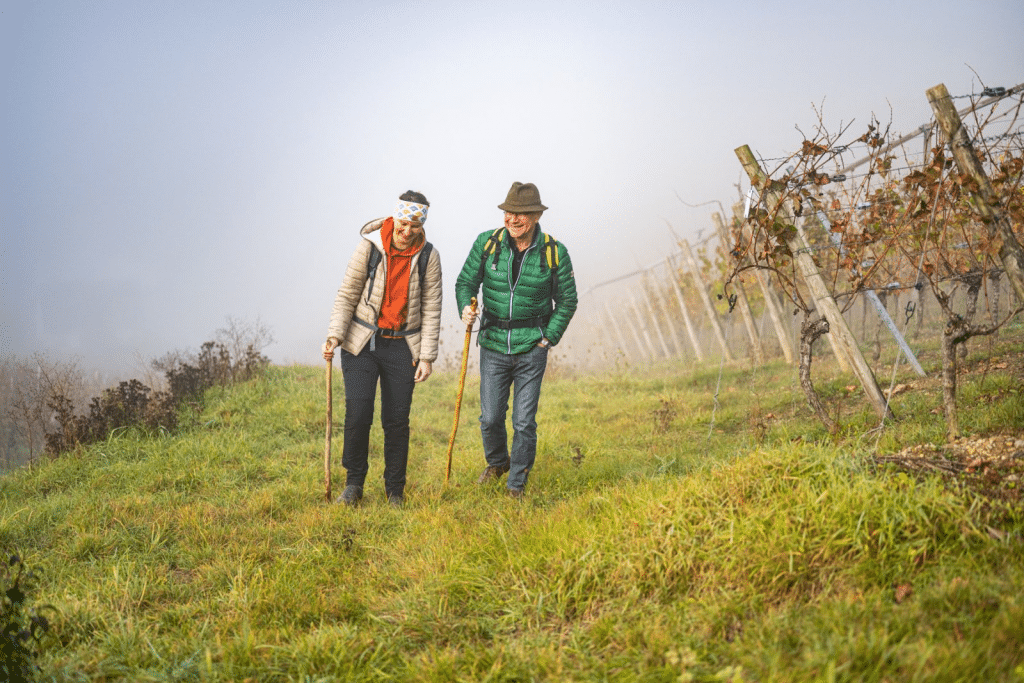 Weinzauber: 5 traumhafte Weinwanderungen in Baden-Württemberg image 10