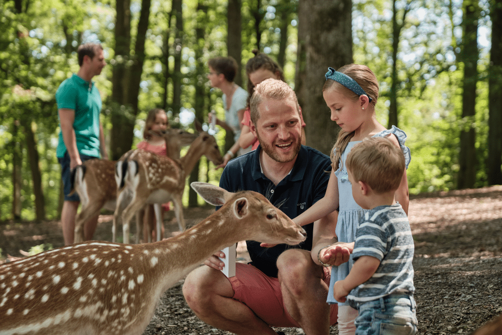 Im Wildparadies Tripsdrill können Besucher über 60 verschiedene Tierarten entdecken.