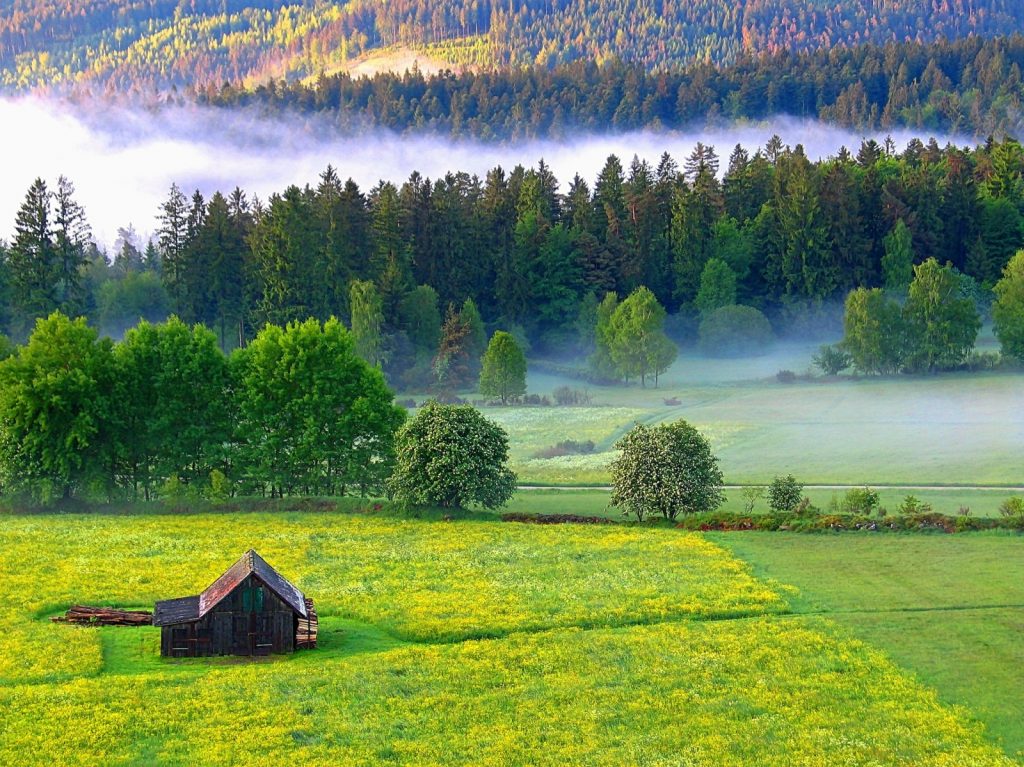 Wandertipp: Qualitätsweg „Ins Tal der Lehmänner“ – Panorama und Bachromantik im Schwarzwald