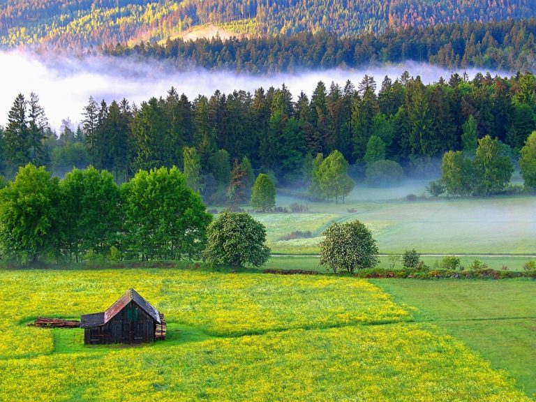 Wandertipp: Qualitätsweg „Ins Tal der Lehmänner“ – Panorama und Bachromantik im Schwarzwald