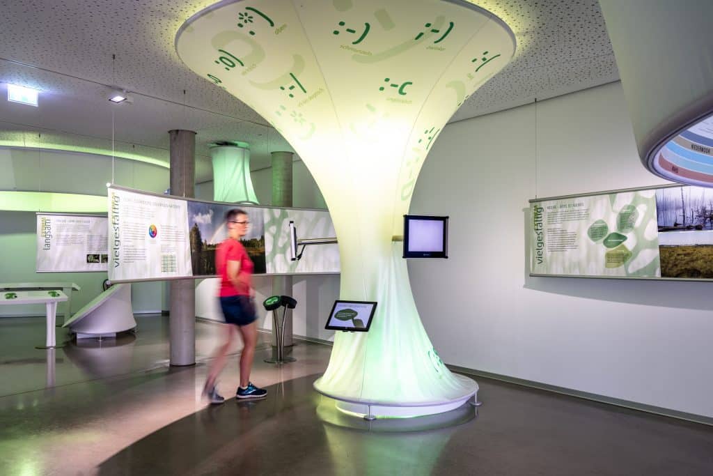 Interaktive Ausstellung „MOOR EXTREM“ im Naturschutzzentrum.
Foto: TMBW / Gregor Lengler