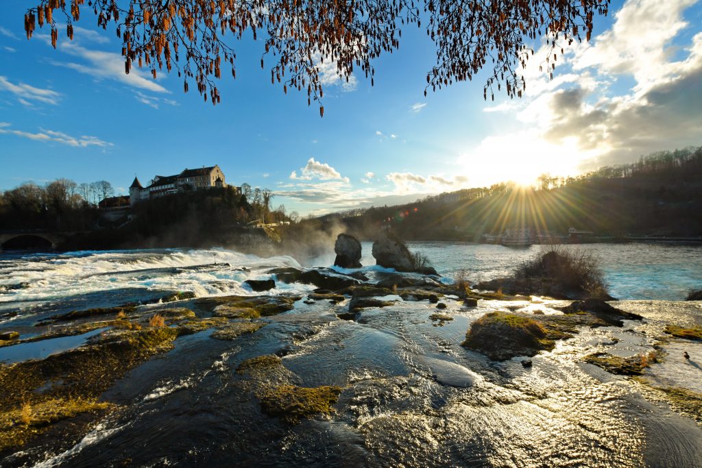 Hochwasser verwandelt Rheinfall in tosendes Naturspektakel Rheinfall Rhein Sonne SchlossLaufen Stein Winter