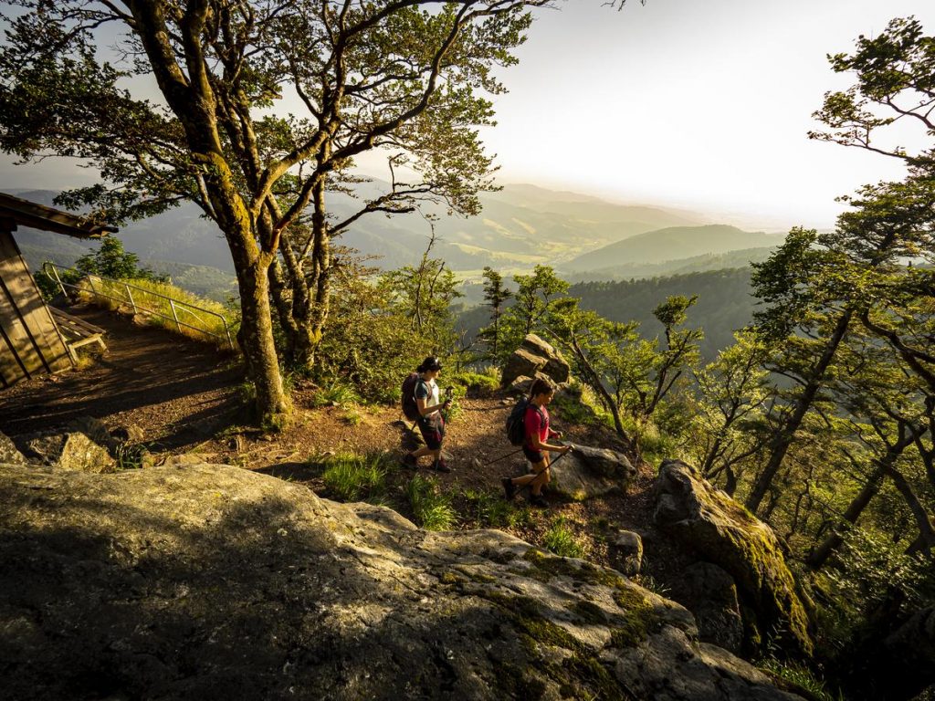 Wandern ohne Gepäck: 4 wundervolle Mehrtagestouren im Schwarzwald – leichtes Gepäck, großes Glück