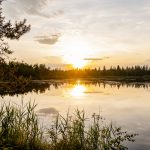 Naturerlebnis pur: Das größten intakten Hochmoor Mitteleuropas liegt in Baden-Würrttemberg Naturerlebnis pur: Das größten intakten Hochmoor Mitteleuropas liegt in Baden-Würrttemberg