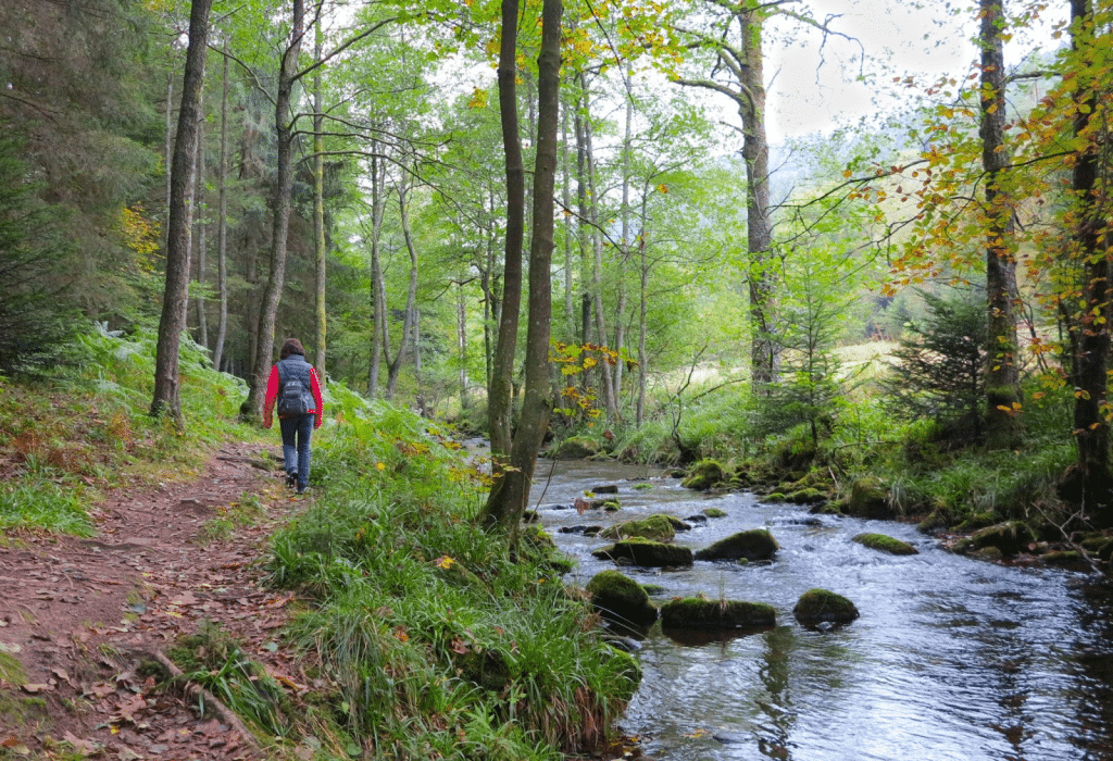 Wandertipp: Qualitätsweg "Ins Tal der Lehmänner" – Panorama und Bachromantik im Schwarzwald image 1