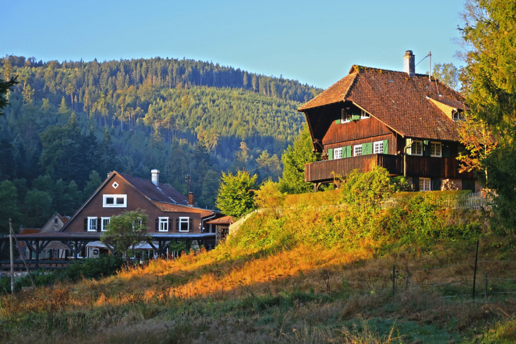 Wandertipp: Qualitätsweg "Ins Tal der Lehmänner" – Panorama und Bachromantik im Schwarzwald image